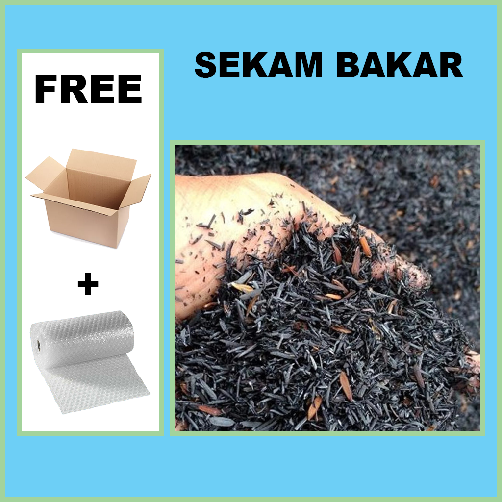 SEKAM BAKAR