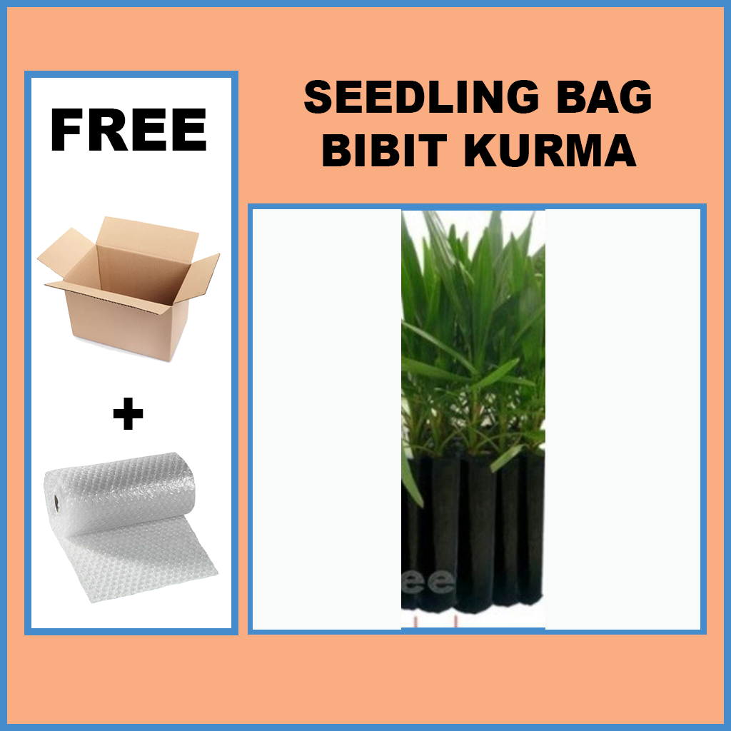 SEEDLING BAG BIBIT KURMA