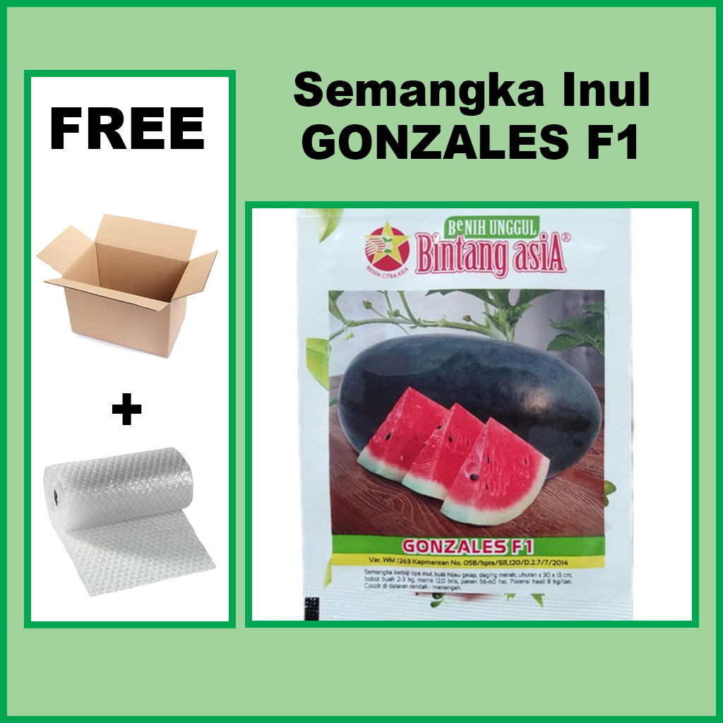 Benih Semangka Inul GONZALES F1